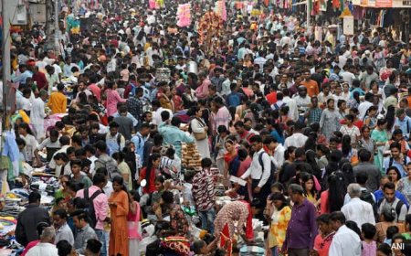 No Stay On CAA, Top Court Asks Centre To Respond To Petitions In 3 Weeks